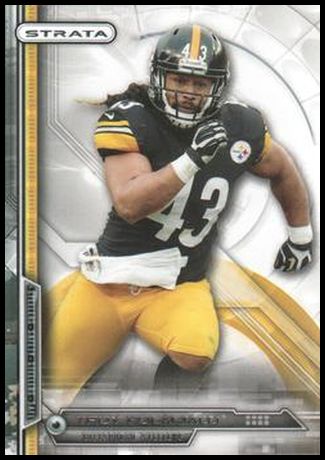 14TS 97 Troy Polamalu.jpg